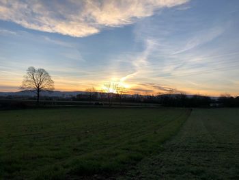 Scenic view of field against sky during sunset