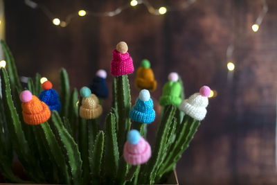 Close-up of cupcakes on table