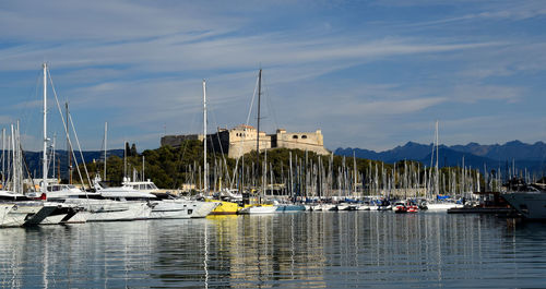 Sailboats moored at harbor against sky