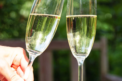 Cropped hand holding champagne flute