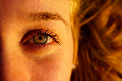 Close-up of woman eye