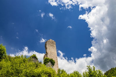 Low angle view of trees against blue sky