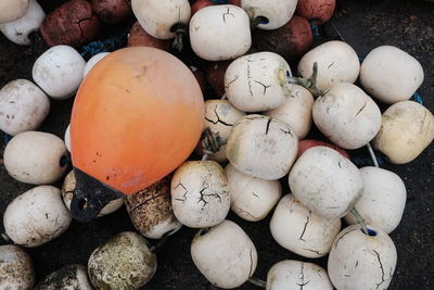 High angle view of eggs in container