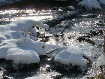 Close-up of ice on beach