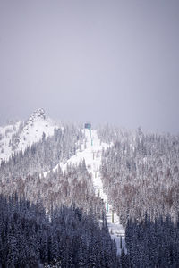 snow