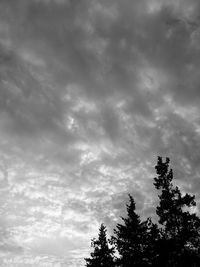 Low angle view of trees against cloudy sky