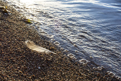 High angle view of sea shore