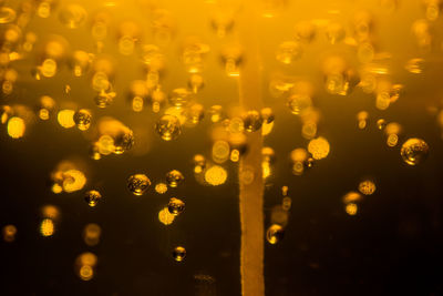 Full frame shot of christmas decorations