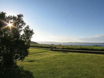 Scenic view of grassy field against sky