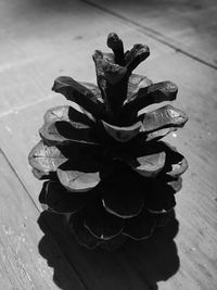 High angle view of wood on table