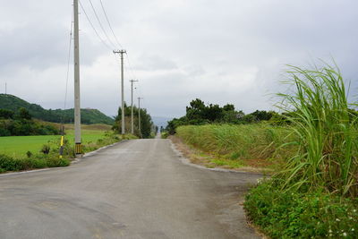 Road amidst trees against sky