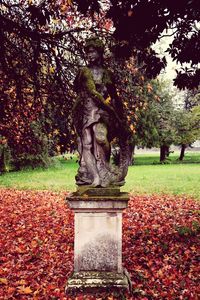 Statue in park during autumn