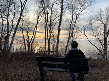 Rear view of man sitting on bench in park
