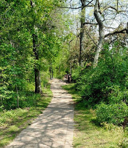 Footpath in park