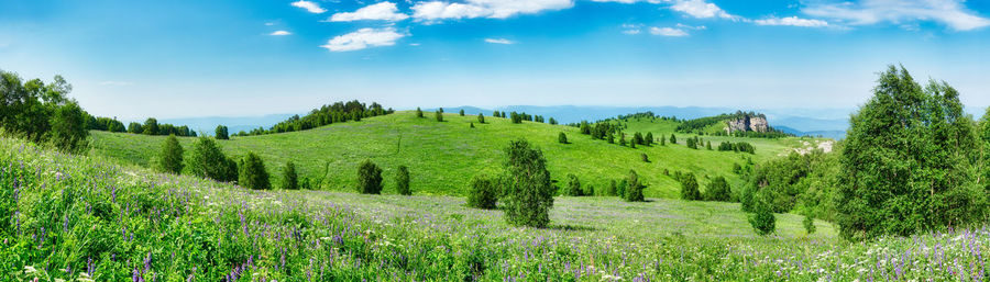 Panoramic shot of trees on field against sky