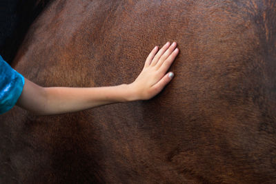hand