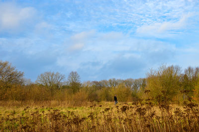 prairie