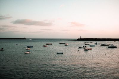 Sailboats in sea at sunset