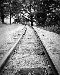 View of railroad tracks along trees