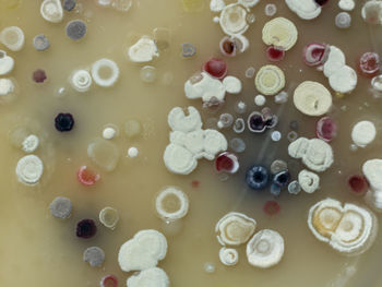 Full frame shot of ice cream