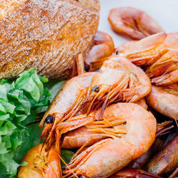 Close-up of fresh seafood served in plate