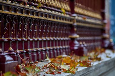 Close-up of bell peppers at temple