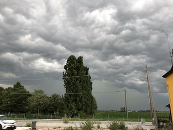 Trees and plants against cloudy sky