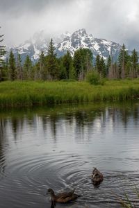 Scenic view of lake