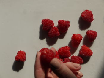 Close-up of hand holding strawberries