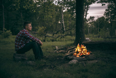 Bonfire on field in forest