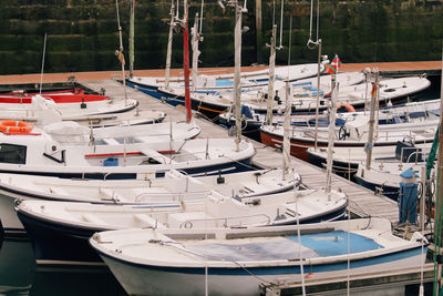 Sailboats moored in harbor