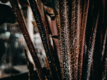 Close-up of rusty metal
