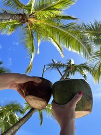 Low angle view of palm tree against sky