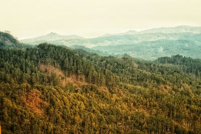 High angle view of trees and mountains against sky