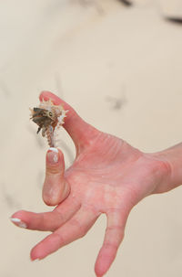 Close-up of hand holding ring