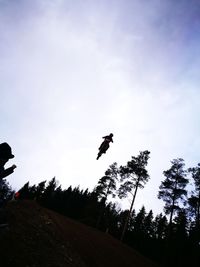 Low angle view of silhouette bird flying against sky