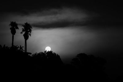 Low angle view of silhouette trees against sky at night