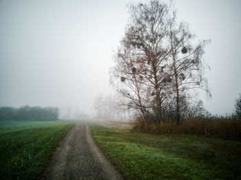 Road amidst trees on field against sky