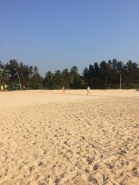 Scenic view of beach by trees against clear blue sky