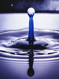 Close-up of water drop