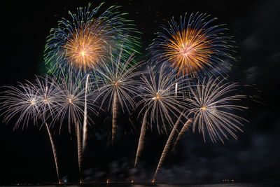 Low angle view of firework display at night