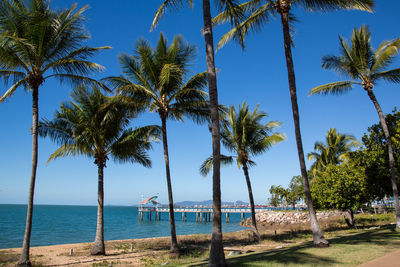 Palm trees on beach against sky