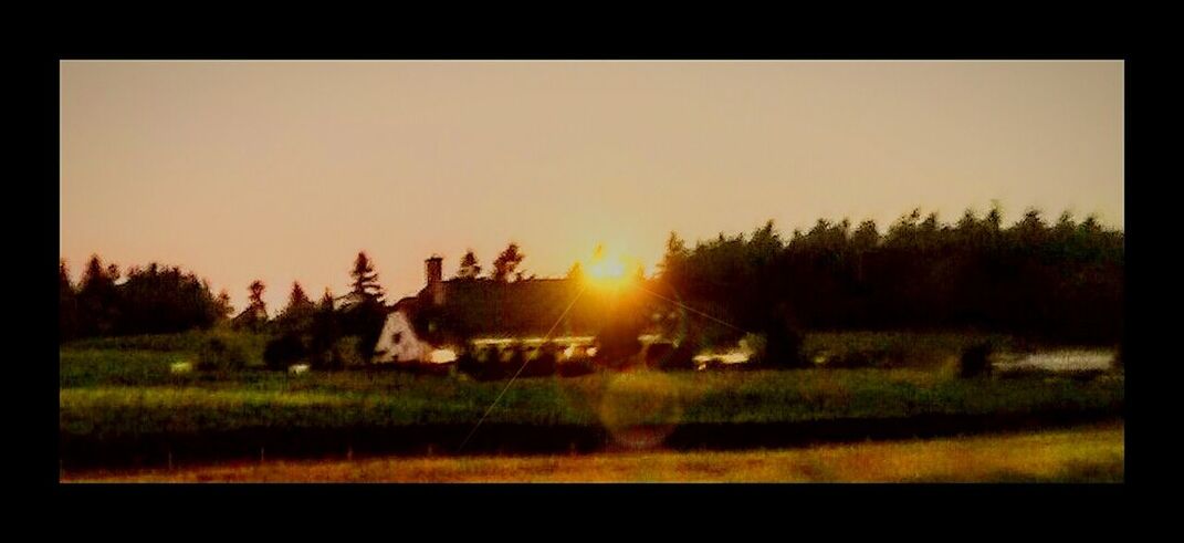 SCENIC VIEW OF RURAL LANDSCAPE