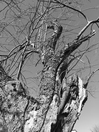 Low angle view of bare tree against sky