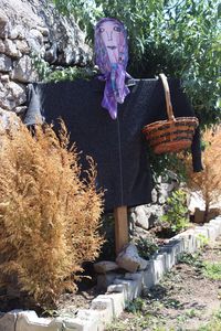 View of stone wall with flowers in basket