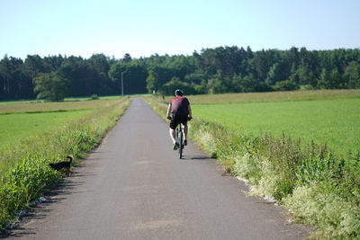 Rear view of man riding bicycle on road