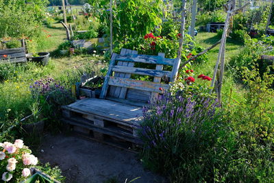 Plants and trees in park