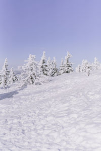 Snow covered field against clear blue sky