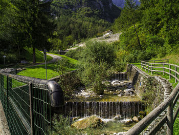 Bridge over stream amidst trees in forest