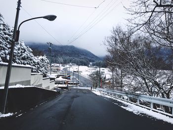 Road along bare trees